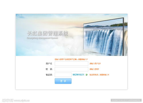 長虹集團(tuán)管理登錄頁面設(shè)計(jì)圖 web界面設(shè)計(jì)